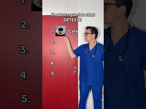 5 odeurs à éviter pour ton chat #chat #top