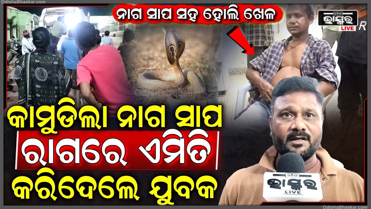 ହୋଲିରେ ବିଷାକ୍ତ ନାଗ ସାପ ସହ ରଙ୍ଗ ଖେଳ ପଡିଲା ମହଙ୍ଗା...ଗୁରୁତର ଅବସ୍ଥାରେ ବାରିପଦା ସ୍ଥାନାନ୍ତର ହେଲେ ମଦ୍ୟପ ଯୁବକ