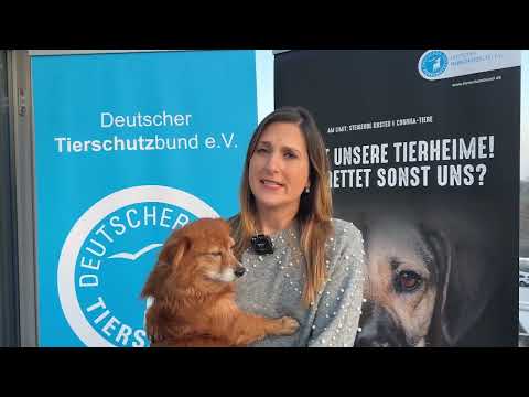 Statement Lea Schmitz (Deutscher Tierschutzbund e.V.)