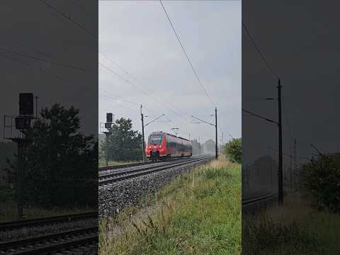 Erst kommt der Donner und dann der Hamster: 442 007 als RE7 nach Greifswald im Unwetter bei Miltzow