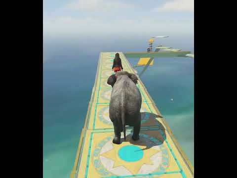 Elephant Sends People Flying 🤣 #gta