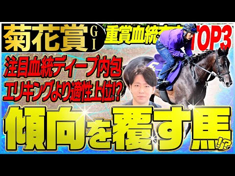 【菊花賞2025】ディープ内包馬エリキングより適性上位の可能性を秘めた注目馬！未知の長距離戦を制するのは…？(坂上明大の重賞血統査定)《東スポ競馬》