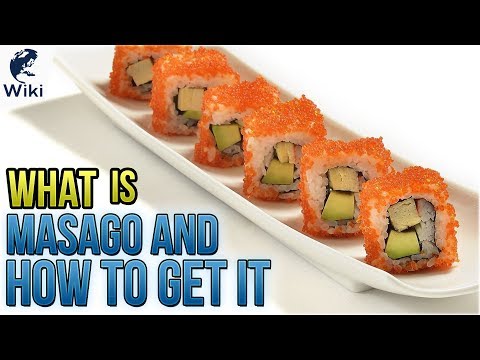 What Is Masago And How To Get It - UCXAHpX2xDhmjqtA-ANgsGmw