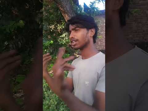 bhai lagta #hai  jaldi 🤣#mar jaunga🤣# Kyon bhai# Mere Liye #Karva Chauth# rokane wali# mel hai #😂🤣🤣🤣