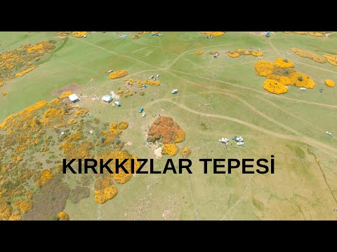 ordu iline ait uçuşlarım