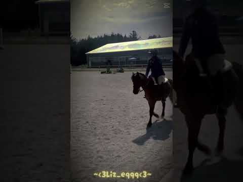 From my show the other day!! #flipy #horse #smalljump #equestrianriding #horsebackriding #pony