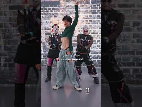 色白シロセ or 色黒シロセ どっちがいい?