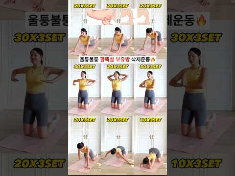 팔뚝살과 부유방이 삭제된다는 동작들만 모음 #흥둥이 #가슴운동