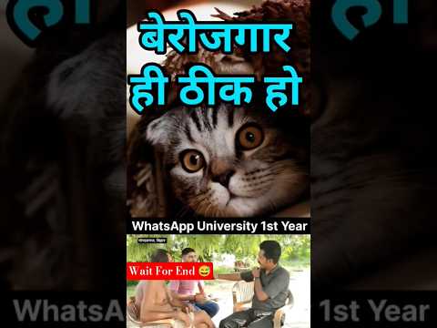 "Berojgar Hi Thek Ho Tum 🤡 | Instagram Funny Comments 😂 | Sabse Badtameez Reply"