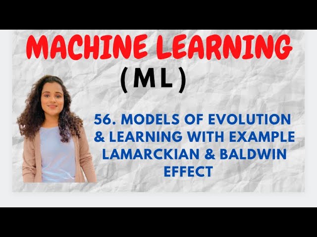 What Is Evolutionary Machine Learning?