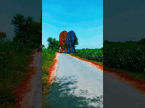 Big dinosaur Chase and chasing part-343#shorts #tendingshorts #dinosaur #viralvideo #youtubeshorts