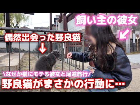 【尾道】なぜか猫にモテる彼女が野良猫に触ろうとしたらまさかの…