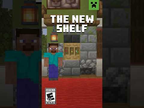 INTRODUCING... THE SHELF!