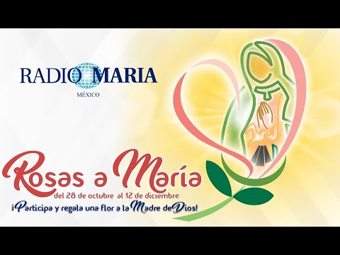 Especial Rosas A María 2025 – La Fidelidad De María Expresada En Su ‘Si’