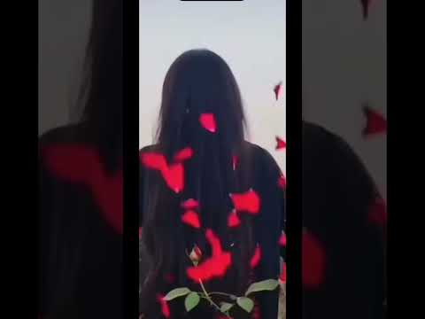 #aisa dewana hua h dil#treanding video #shortsviral video #viralvideos #