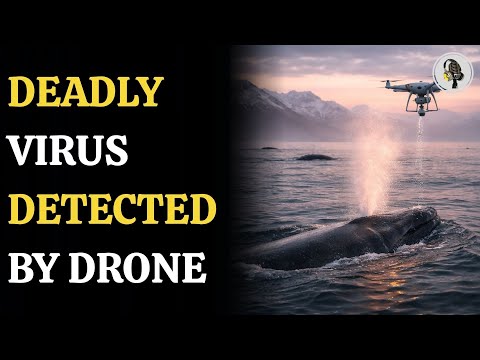 Scientists Use Drones to Detect Deadly Whale Virus from Breath | WION Podcast