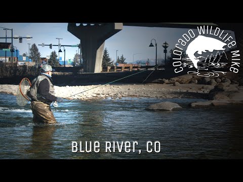 Blue River Fly Fishing