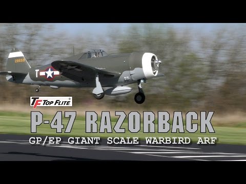 Spotlight: Giant Scale P-47 Razorback 50-61cc/EP ARF by Top Flite - UCa9C6n0jPnndOL9IXJya_oQ