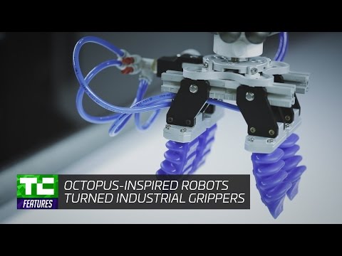 Soft Robotics' octopus-inspired robots industrial grippers - UCCjyq_K1Xwfg8Lndy7lKMpA