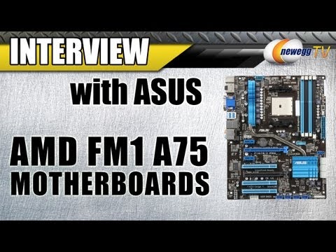 Newegg TV: ASUS AMD FM1 A75 Motherboards - UCJ1rSlahM7TYWGxEscL0g7Q