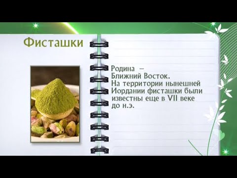 Кулинарная энциклопедия - Фисташки - UC7XBjhXnmmXFsxmnys9PmDQ