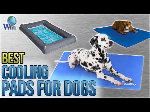 10 Best Cooling Pads For Dogs 2018 - UCXAHpX2xDhmjqtA-ANgsGmw