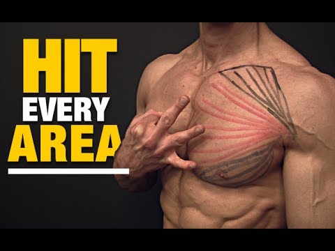 Upper Pecs | Lower Pecs (CHEST EXERCISE CHEAT!) - UCe0TLA0EsQbE-MjuHXevj2A