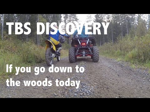 TBS Discovery - If you go down to the woods today - UCALbFhp7YhbitOkg11LS2cg