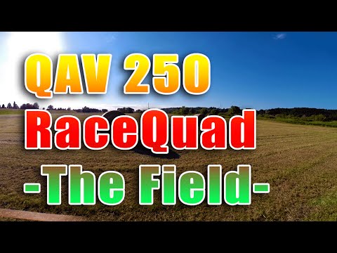 #9 QAV 250 FPV Flug in "The Field" - UCXb0EEIl9526tlQlRCV-LOA