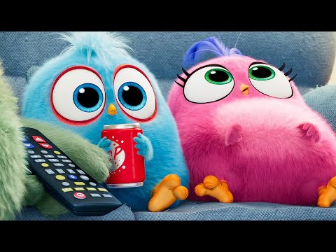 THE ANGRY BIRDS MOVIE 2 - 11 Minutes Clips + Trailers (2019) - UCA0MDADBWmCFro3SXR5mlSg