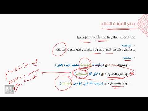 النحو العربي | 4-9 | جمع المؤنث السالم