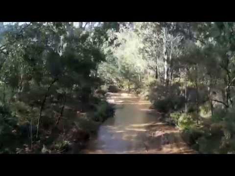 Newnes Campgrounds Wallabies - UCtFCt6a73h6hzXiSGqTDTrg