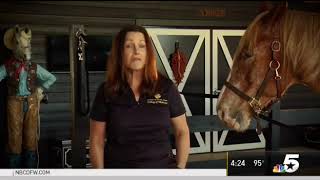 NBCDFW Horses Help America's Heroes Cope with PTSD