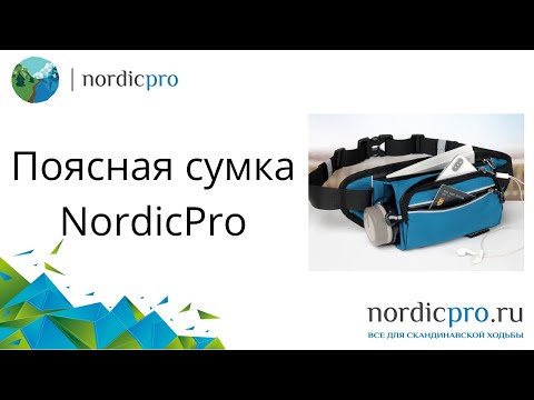 Сумка поясная NordicPro