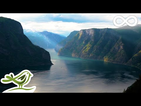 Beautiful Relaxing Music: Norway's Nature, Violin Music, Flute Music, Piano Music, Harp Music ★124 - UCjzHeG1KWoonmf9d5KBvSiw