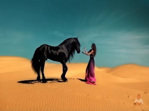 Elton John - The One (Lyrics) Legenda Inglês - Português