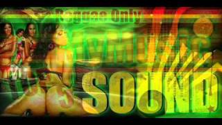 Chris Brown Feat. Keri Hilson - Superhuman Reggae Remix