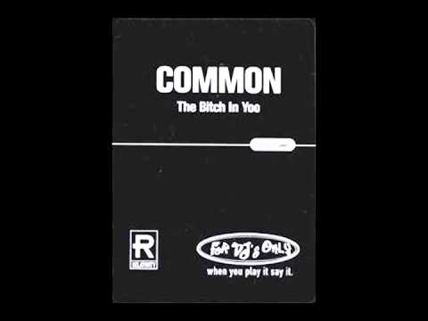 Common - The Bitch In Yoo
