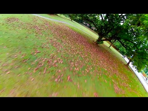 Eachine Falcon 250 RTF - 4S 1500mAh, BetaFlight 2.6.1 Test Flight - UCWgbhB7NaamgkTRSqmN3cnw