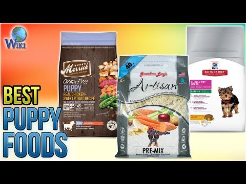 10 Best Puppy Foods 2018 - UCXAHpX2xDhmjqtA-ANgsGmw