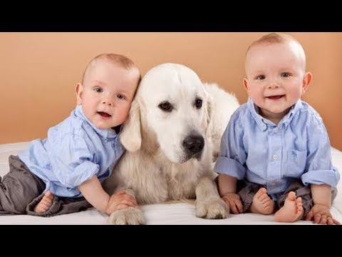 DOG showing love to Twins Babies -   Cute dog and twin baby are the best friend videos - UCVQU_XpURRlrDbvnQJIwLag