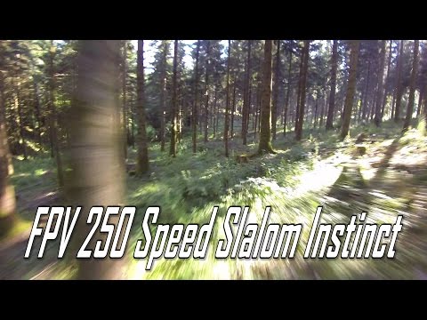 FPV RACING 250 - Speed Slalom Instinct in a Pine Forest - UCs8tBeVbqcKhS-GAX_HtPUA