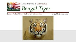 Mark Mendez - Bengal Tiger
