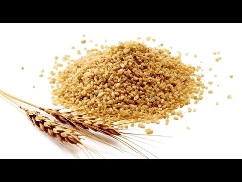 Bulgur Wheat 101 |  Everything You Need To Know - UCj0V0aG4LcdHmdPJ7aTtSCQ