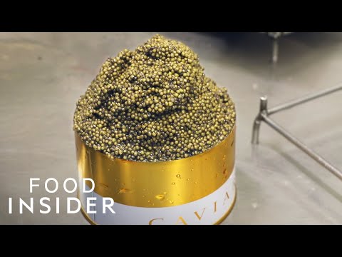 Inside Europe's Biggest Caviar Farm - UCwiTOchWeKjrJZw7S1H__1g