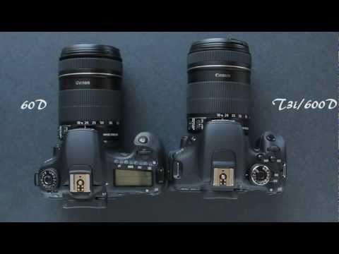 Canon 60D vs. Canon T3i/600D Comparison - UCpPnsOUPkWcukhWUVcTJvnA