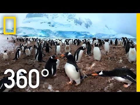 360° Antarctica - Unexpected Snow | National Geographic - UCpVm7bg6pXKo1Pr6k5kxG9A