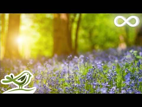 Relaxing Piano Music: Relaxing Music, Sleep Music, Study Music, Beautiful Music ★144 - UCjzHeG1KWoonmf9d5KBvSiw