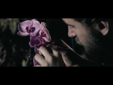Oskar Offermann - "So Close" (Official Video) - UC0jxua6gd8cCQPKuldKOqqA