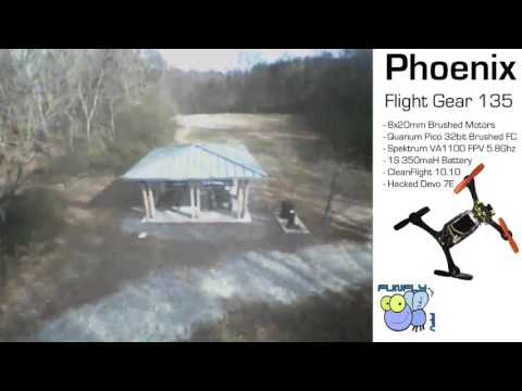 Phoenix Flight Gear 135mm Micro FPV at the Park - UCQ2264LywWCUs_q1Xd7vMLw